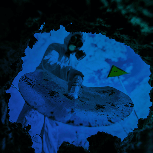 Decide What Comes Next